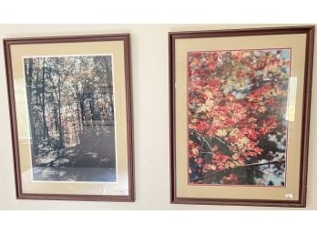PAIR OF LARGE FORMAT COLOR PHOTOGRAPHS