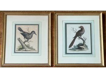(2) GEORGE EDWARDS (1694-1773) BIRD ENGRAVINGS