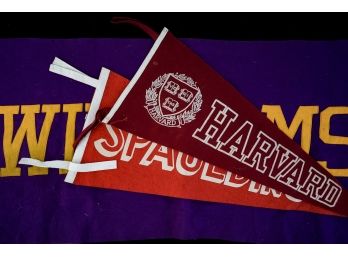 WILLIAMS COLLEGE BANNER and (2) PENANTS