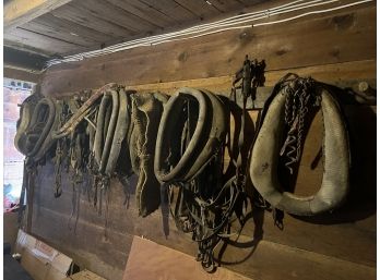 WALL OF HORSE HARNESSES, TACK etc.