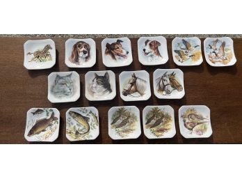(15) ROYAL ADDERLEY SAUCERS with ANIMALS