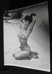 109. Bettie Page Pin Up Posters (10)
