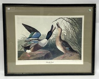 29. John James Audubon(after) Framed Print