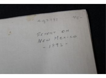 124. Report On New Mexico 1893
