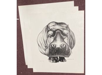 50. Sam Norkin Posters 'The Dreamy Hippo' (3)