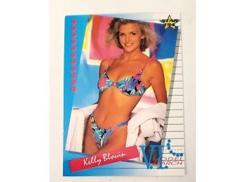 Vintage Portfolio Secrets Sexy Pin Up Girl Lingerie Trading Card Lot #128