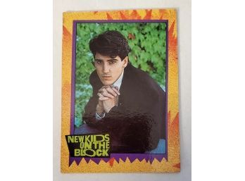 Vintage New Kids On The Block Trading Card Lot #121