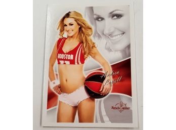 Pin Up Girl Bench Warmer Sexy Lingerie Lady Cheerleader Football Team Sports Trading Card Lot #42