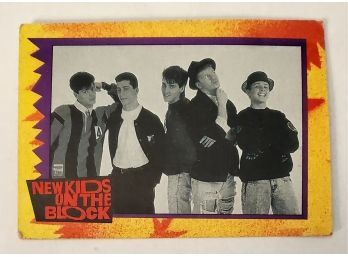 Vintage New Kids On The Block Trading Card Lot #120