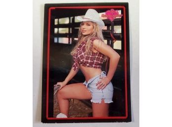 Pin Up Girl Bench Warmer Sexy Lingerie Lady Cheerleader Football Team Sports Trading Card Lot #34