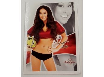 Pin Up Girl Bench Warmer Sexy Lingerie Lady Cheerleader Football Team Sports Trading Card Lot #44