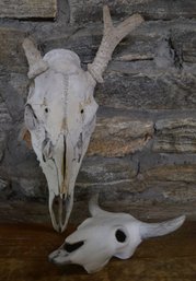 Natural Deer Skull & Ceramic Bull Skull Decor