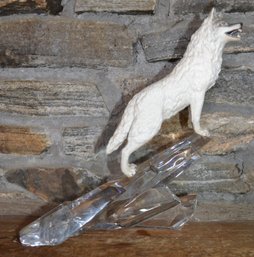 Artic Wolf With Glass Stand
