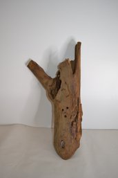 Great Piece Of Hollow Wood