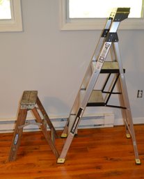Gorilla Hybrid Ladder & Werner Ladder