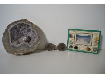 Fossil - Trigolite, Geode & Little Rock Collection