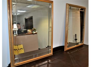 Pair Of Mirrors In Plastic Frames