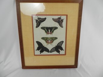 Antique Vintage Butterflies And Or Moths, Chromolithography, Naturalist Prints 1 Of 3 Available - Great Frames
