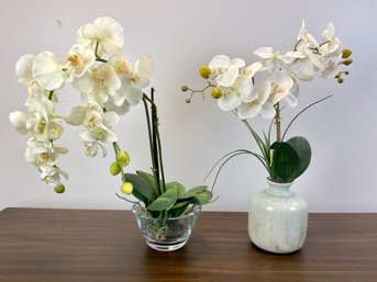 Two Phalaenopsis Arrangements
