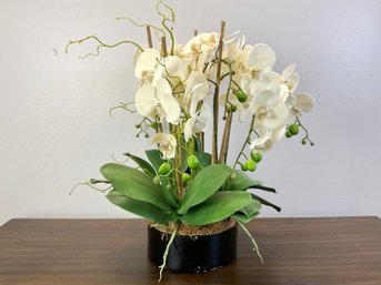 An Artificial Phalaenopsis Arrangement