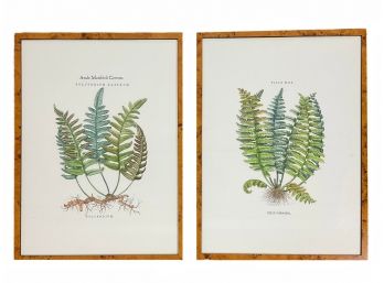 A Pair Of Italian Hand Colored Ponte Vecchio Fern Lithographs, Embossed Stamps (2 Of 2)