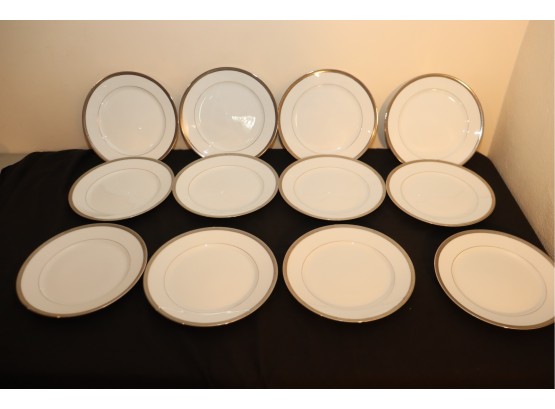SET OF 12  Limoges Malmaison Platinum Dinnerplates By HAVILAND & PARLON