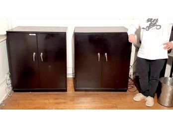 2 Large 2 Door Cabinets
