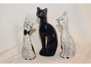Black And White Cat Lot