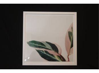 White Wood Framed Fauna Picture