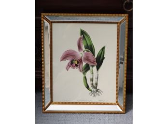 MIRROR & Gold Framed Two's Company Floral Botanical Print CATTLEYA PINELLI