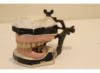 Vintage Dental Dentoform Teeth Students Training Teaching Model