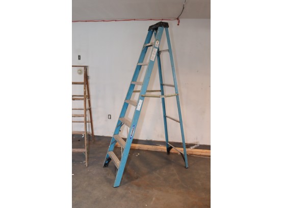 Werner 8 Ft. Fiberglass Step Ladder With 250 Lb. Load Capacity Type I Duty Rating