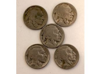 Lot Of 5 Buffalo Nickels US Coins 5 Cents