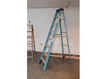 Werner 8 Ft. Fiberglass Step Ladder With 250 Lb. Load Capacity Type I Duty Rating