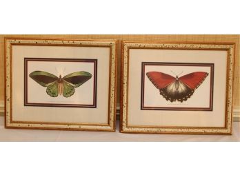 Vintage Framed Butterfly Artwork