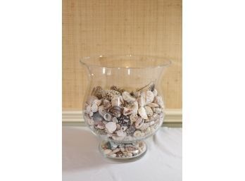 Big Glass Urn Filled With Sea Shells