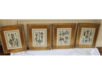 4 Framed Botanical Latin Flower Prints