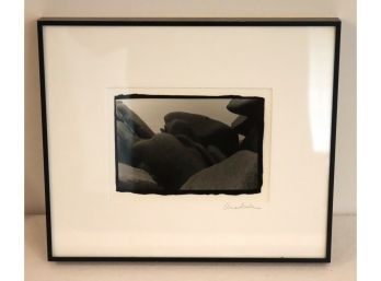 Framed Rock Picture Signed Anne Scala