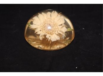Flower In Acrylic Paperweight