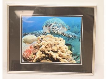 Sea Turtle Framed Picture