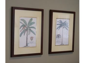 Pair Of  Botanical Prints For Prince Of Wales, & Duke Of Chaulnes