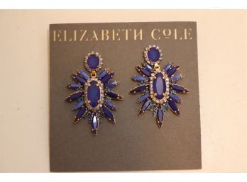 Elizabeth Cole Earrings  (J-10)