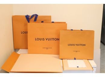 Louis Vuitton Shopping Bags And Boxes LV