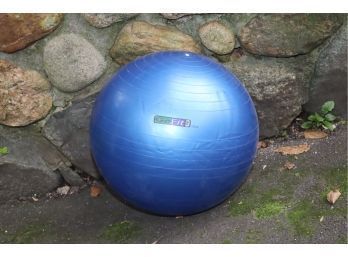 Go Fit 75cm Fitness Exercise Ball (G-11)
