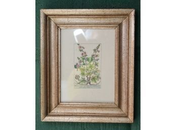 Vintage Framed Botanical Print Embossed (o-13)
