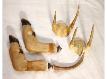 Vintage Whitetail Deer Hoof Gun Rack Hook With Spike Skull Caps (TR-12