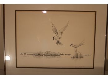 Framed Hand Signed And Numbered Corinne Oerter Wildlife Birds Lithograph