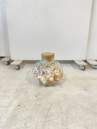 Assorted Natural Seashells In Glass Scalloped Vase With Cork Top