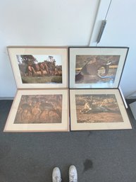 A Set Of Four Framed Safari Animal Photographs