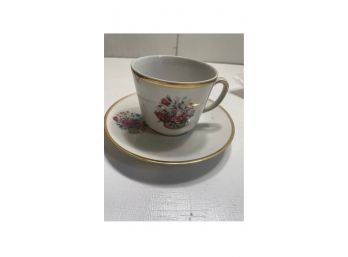 Bareuther Waldsassen Bavaria Germany Tea Cup And Saucer